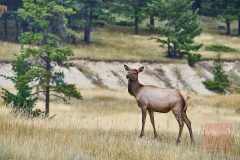 2208_JasperNP_349