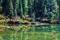 2208_JasperNP_520
