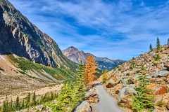 2208_JasperNP_606