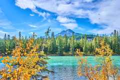2208_JasperNP_624