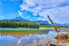 2208_JasperNP_630