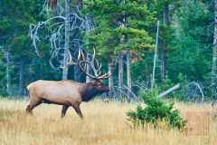 2208_JasperNP_649