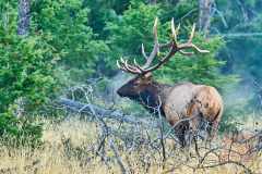 2208_JasperNP_652