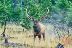 2208_JasperNP_655