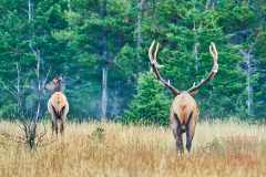 2208_JasperNP_656