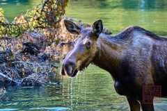 2208_JasperNP_667