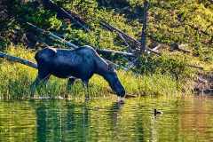 2208_JasperNP_673