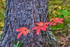 2208_JasperNP_699