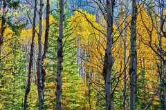 2208_JasperNP_701