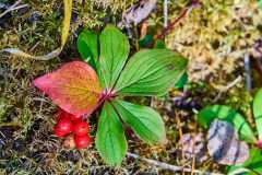 2208_JasperNP_703