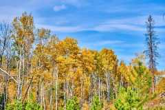 2208_JasperNP_711