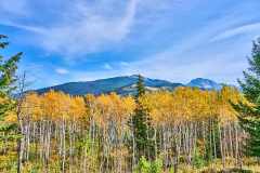 2208_JasperNP_718