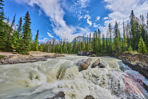 2208_YohoNP_BC_050