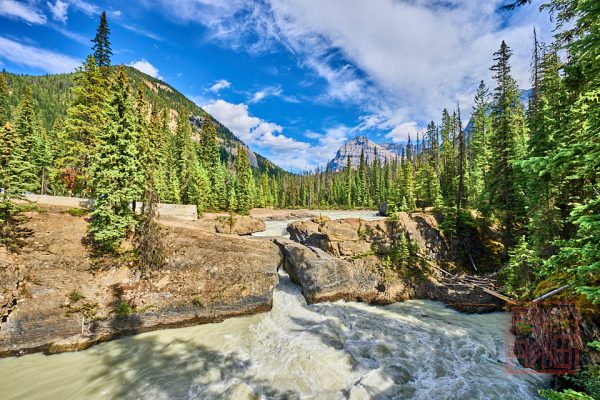 2208_YohoNP_BC_051