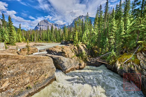 2208_YohoNP_BC_052