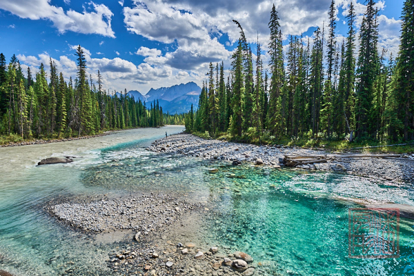 2208_YohoNP_BC_053