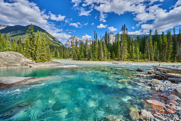 2208_YohoNP_BC_054