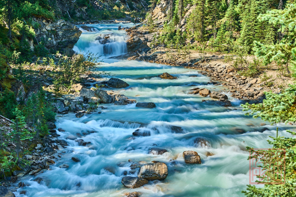 2208_YohoNP_BC_086
