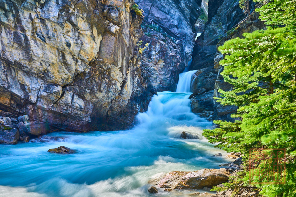 2208_YohoNP_BC_090