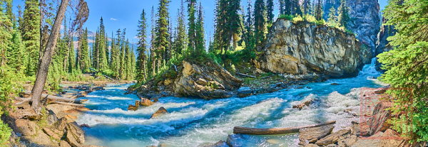 2208_YohoNP_BC_091